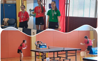 Četrtfinalni turnir v namiznem tenisu