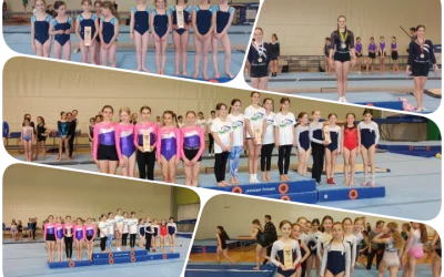 Ljubljansko tekmovanje v gimnastiki